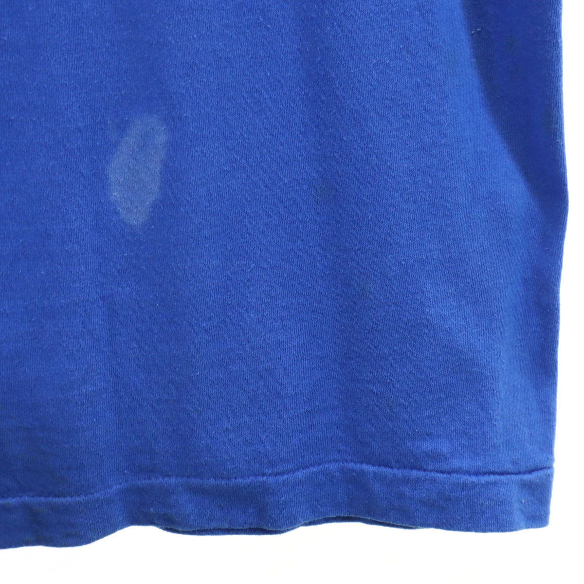 FRUIT OF THE LOOM フルーツオブザルーム 90s USA製 オールド DUPONT PANTHERS 半袖 Tシャツ M ブルー シングルステッチ アニマル メンズ