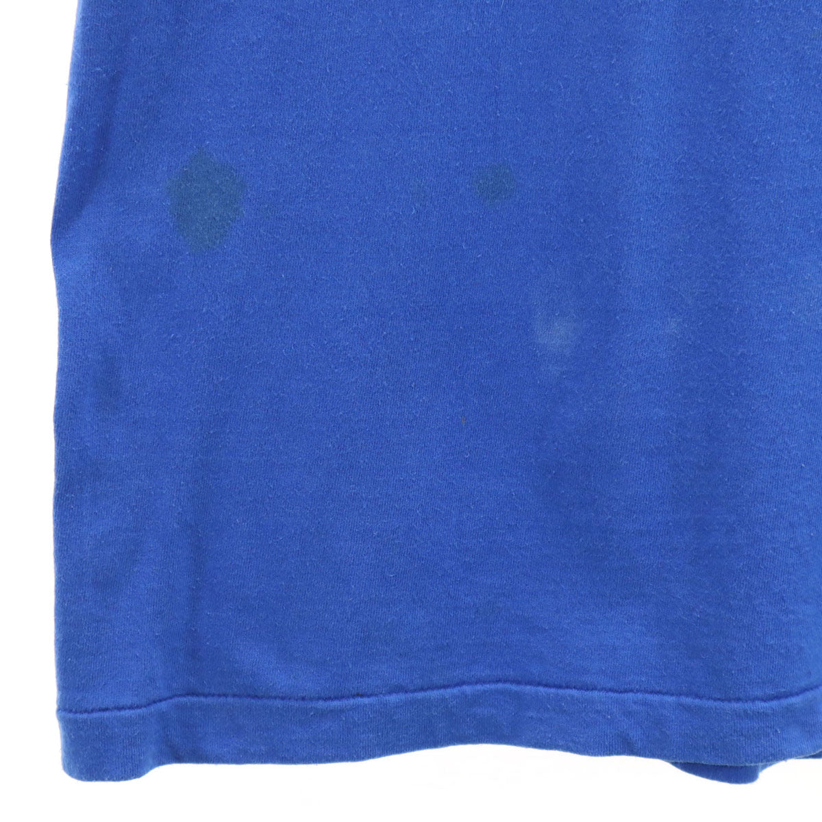 FRUIT OF THE LOOM フルーツオブザルーム 90s USA製 オールド DUPONT PANTHERS 半袖 Tシャツ M ブルー シングルステッチ アニマル メンズ