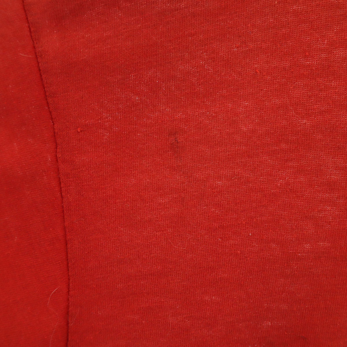 VINTAGE ヴィンテージ 80s 90s NFL サンフランシスコ・49ers 半袖 Tシャツ レッドブラウン シングルステッチ メンズ