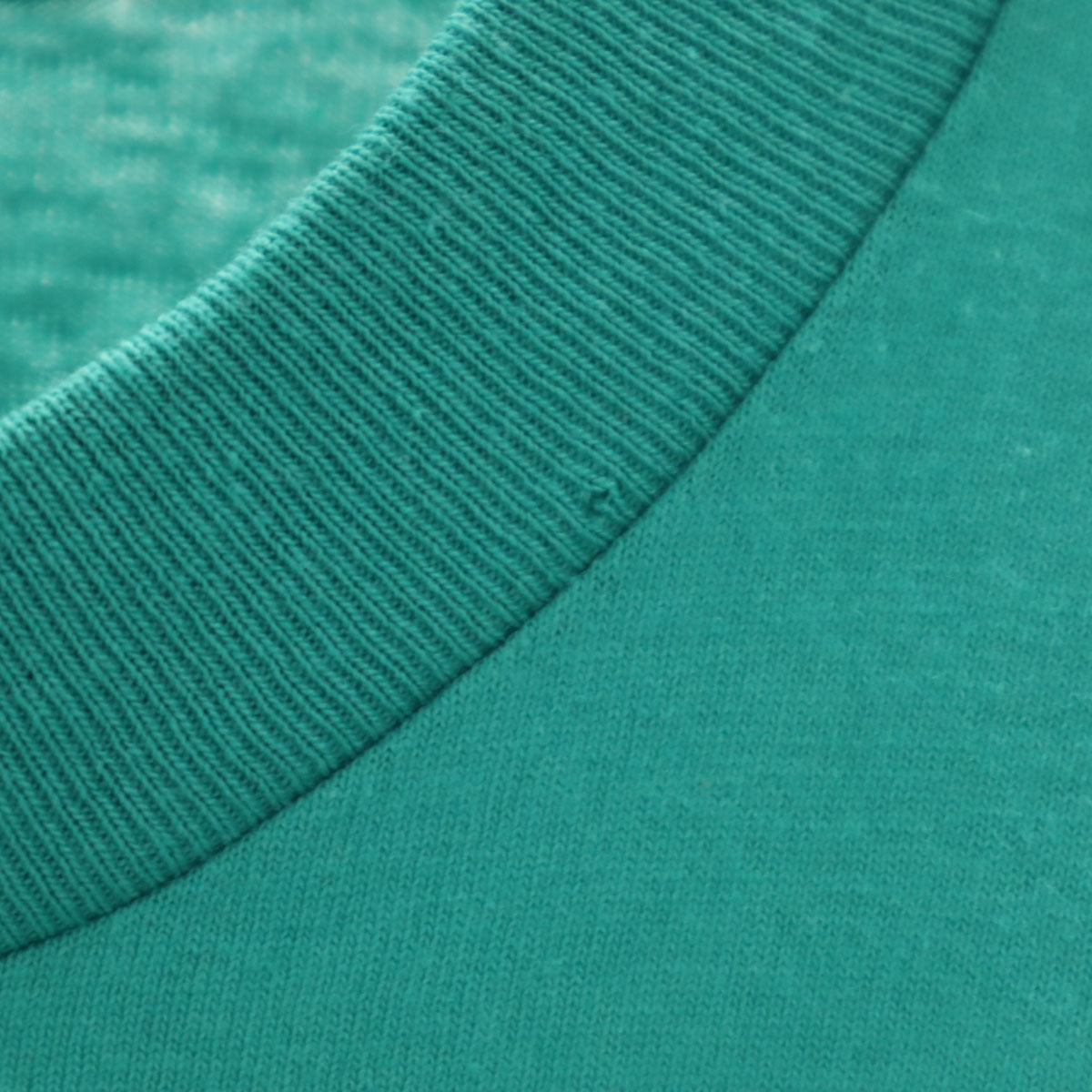 FRUIT OF THE LOOM フルーツオブザルーム 90s USA製 オールド 半袖 Tシャツ L グリーン系 シングルステッチ メンズ