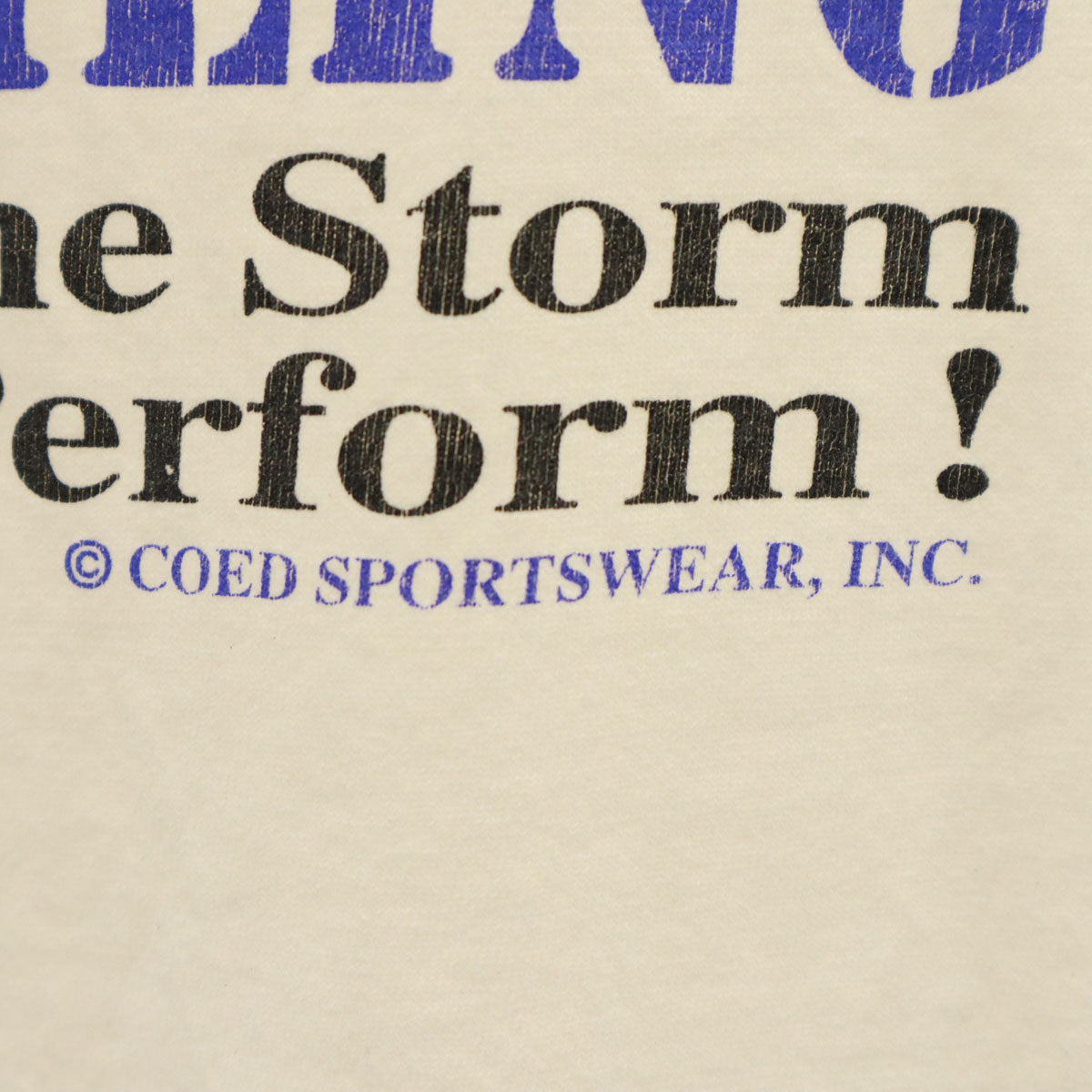 COED NAKED 90s USA製 オールド バックプリント スノーモービル 半袖 Tシャツ XL ホワイト シングルステッチ メンズ