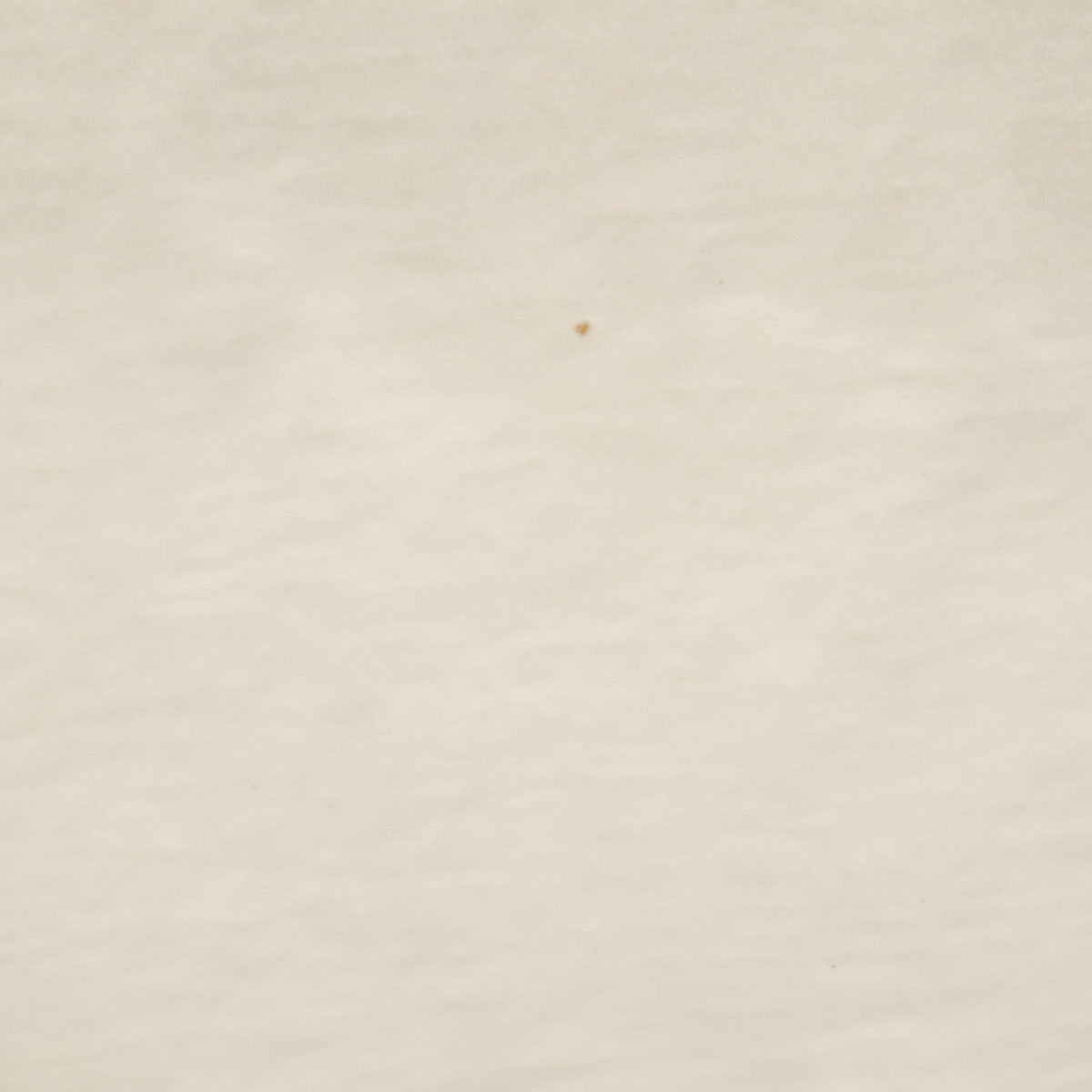 Palm Angels パームエンジェルス 半袖 Tシャツ M 白 ドーベルマン メンズ