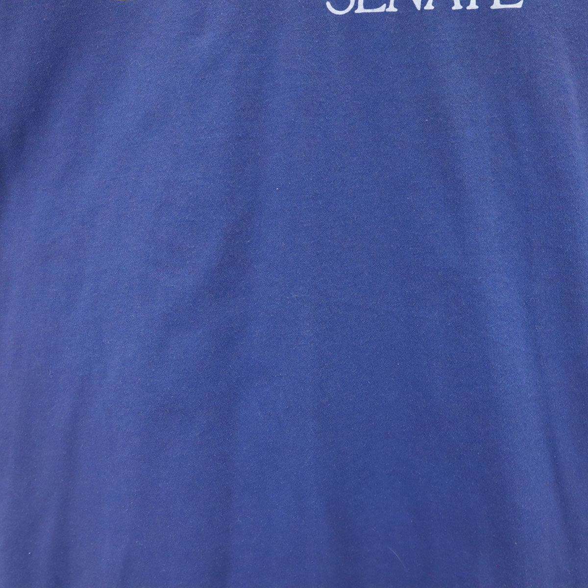 THE 50’S 90s USA製 オールド glen DEWEESE SENATE 半袖 Tシャツ XXL 青紫 シングルステッチ ビッグサイズ メンズ