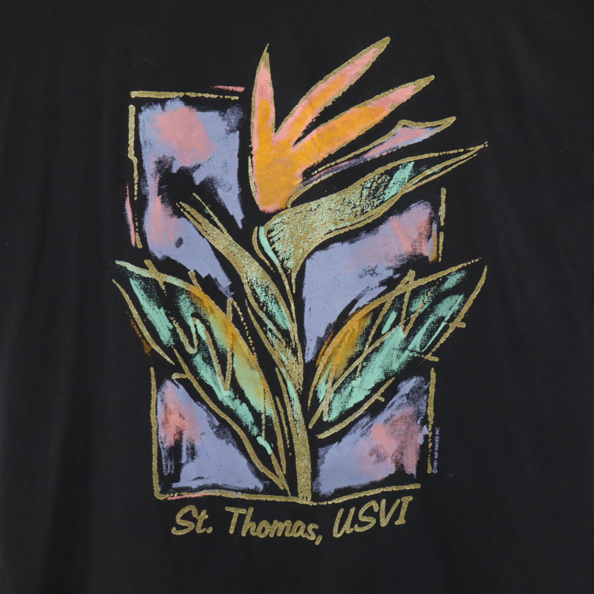 Hanes ヘインズ 90s USA製 オールド アート プリント 半袖 Tシャツ XL ブラック シングルステッチ メンズ