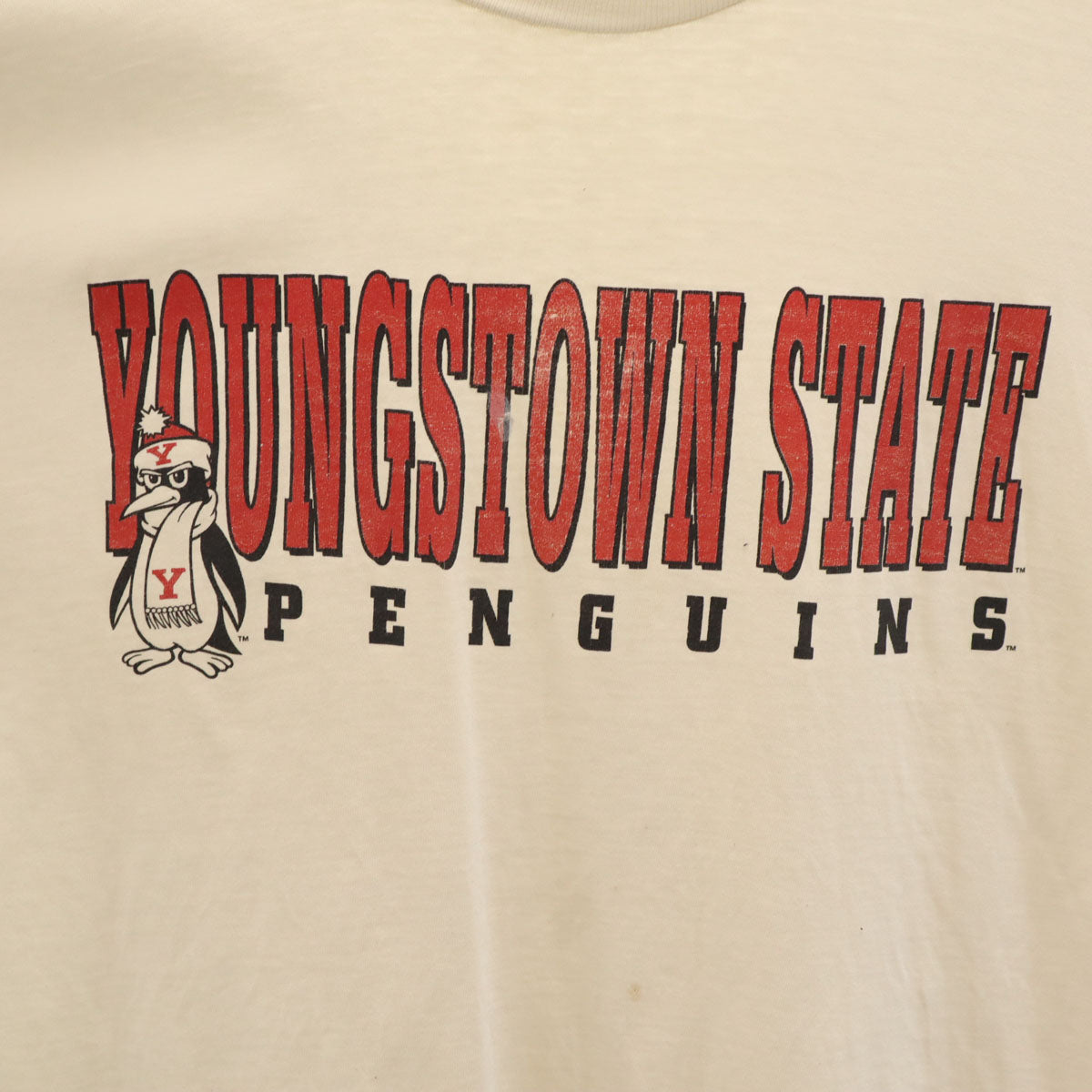 The Cotton Exchange ザコットンエクスチェンジ 90s USA製 オールド YOUNGSTOWN STATE 半袖 Tシャツ XL アイボリー シングルステッチ ペンギンズ メンズ