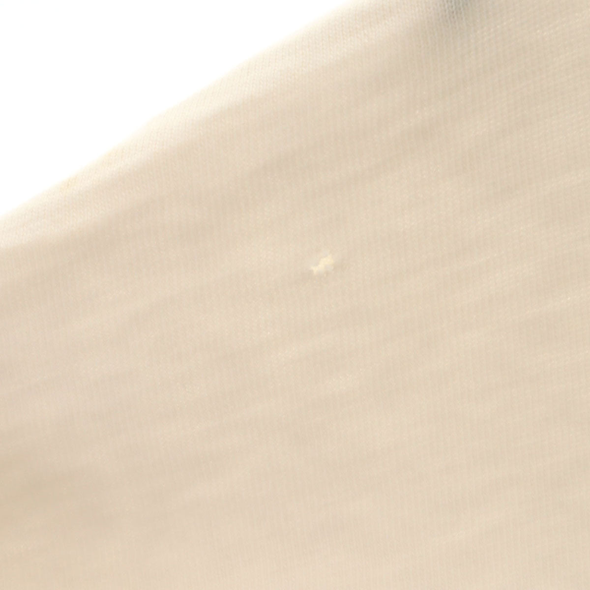 Hanes ヘインズ 70s USA製 ヴィンテージ イーグル プリント 半袖 Tシャツ XL アイボリー系 シングルステッチ BEEFY-T メンズ