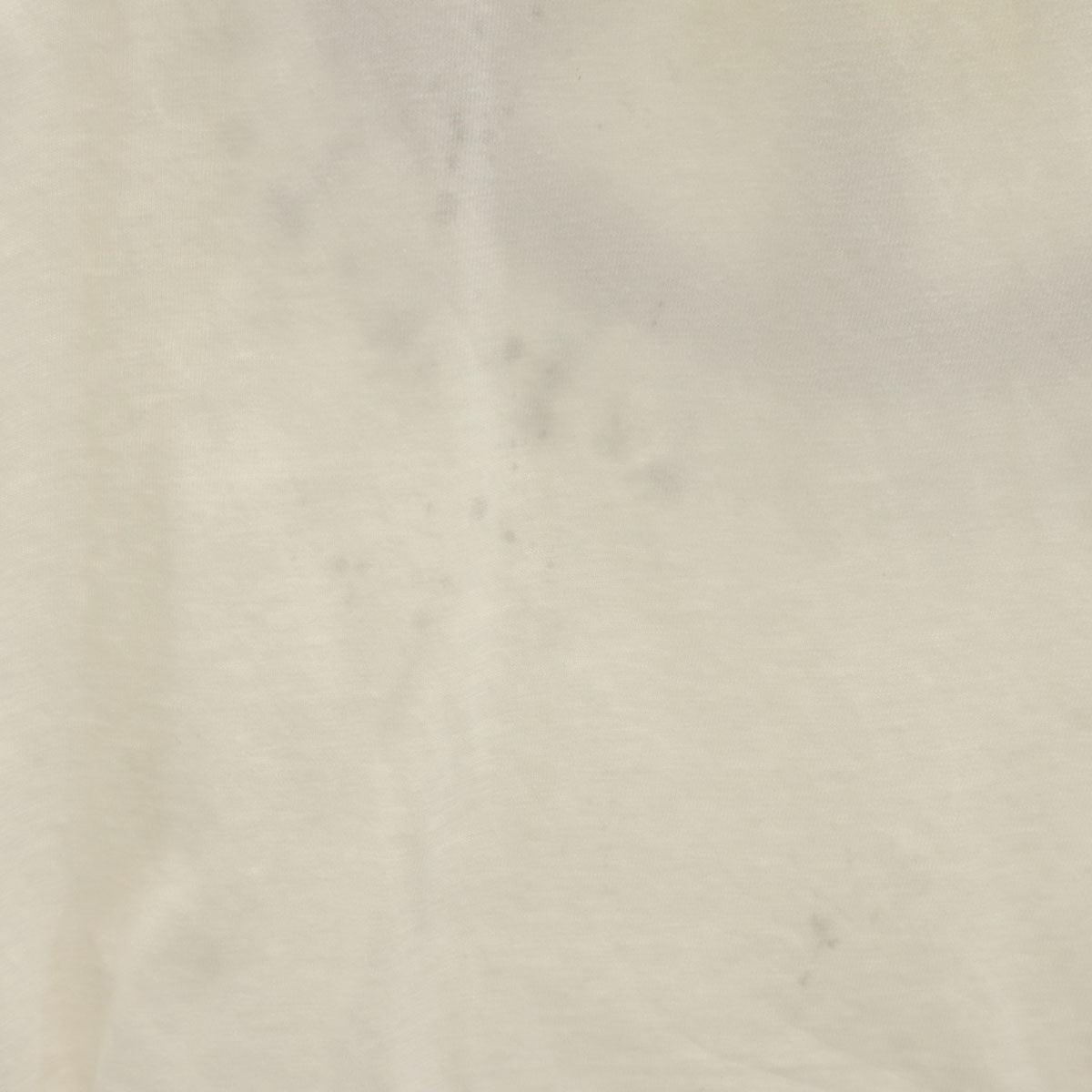 Hanes ヘインズ 80s 90s USA製 オールド バックプリント ラクロス 半袖 Tシャツ L ホワイト シングルステッチ メンズ