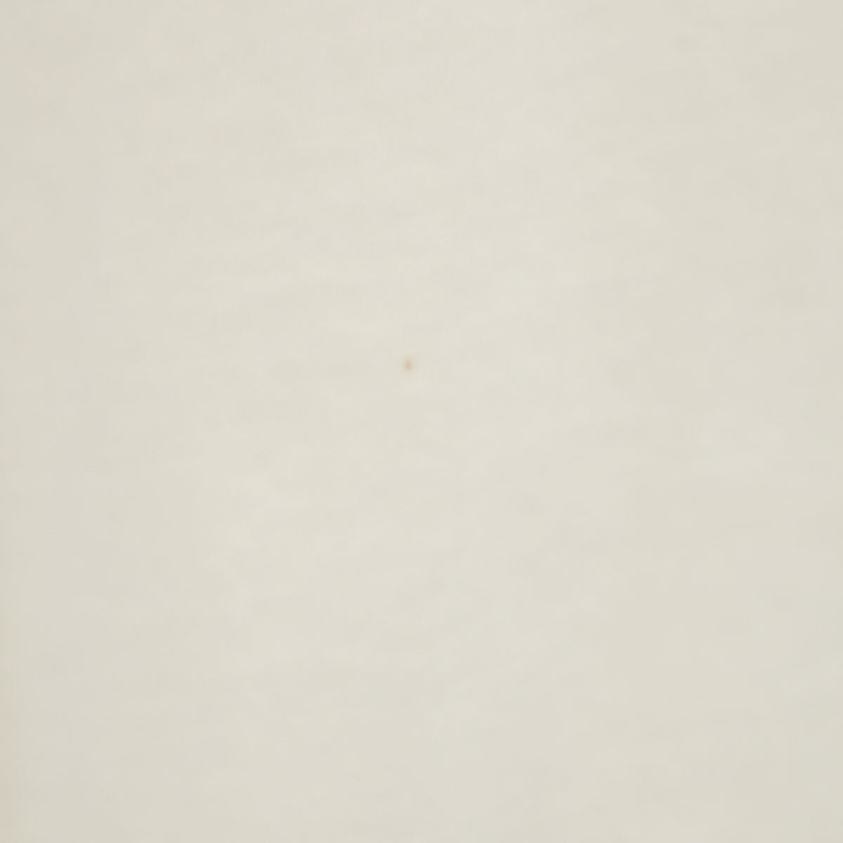 RED VALENTINO レッドヴァレンティノ 半袖 レースデザイン カットソー S ホワイト レディース