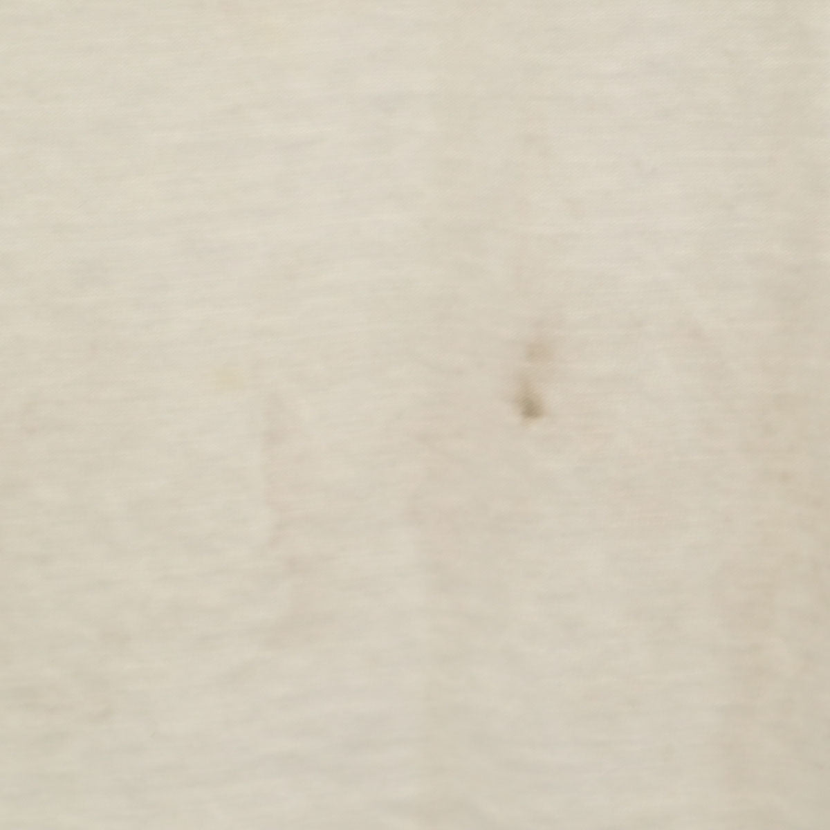 Giorgio Fiorlini 90s オールド DESERT STORM 半袖 Tシャツ ONE SIZE ホワイト シングルステッチ メンズ