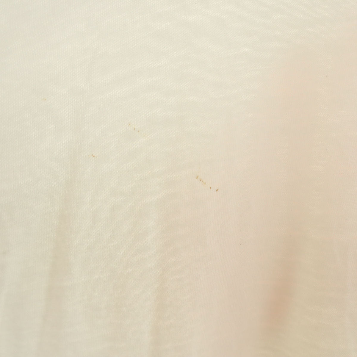 Hanes ヘインズ 90s USA製 オールド CLEMSON 半袖 Tシャツ XL ホワイト シングルステッチ メンズ