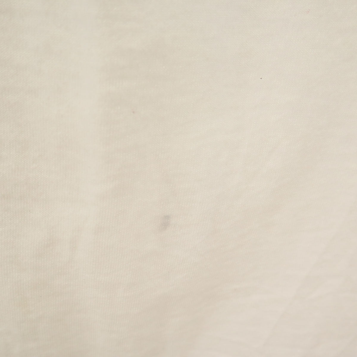 FRUIT OF THE LOOM BEST フルーツオブザルーム ベスト 90s USA製 オールド ヨット プリント 半袖 Tシャツ XL ホワイト シングルステッチ メンズ