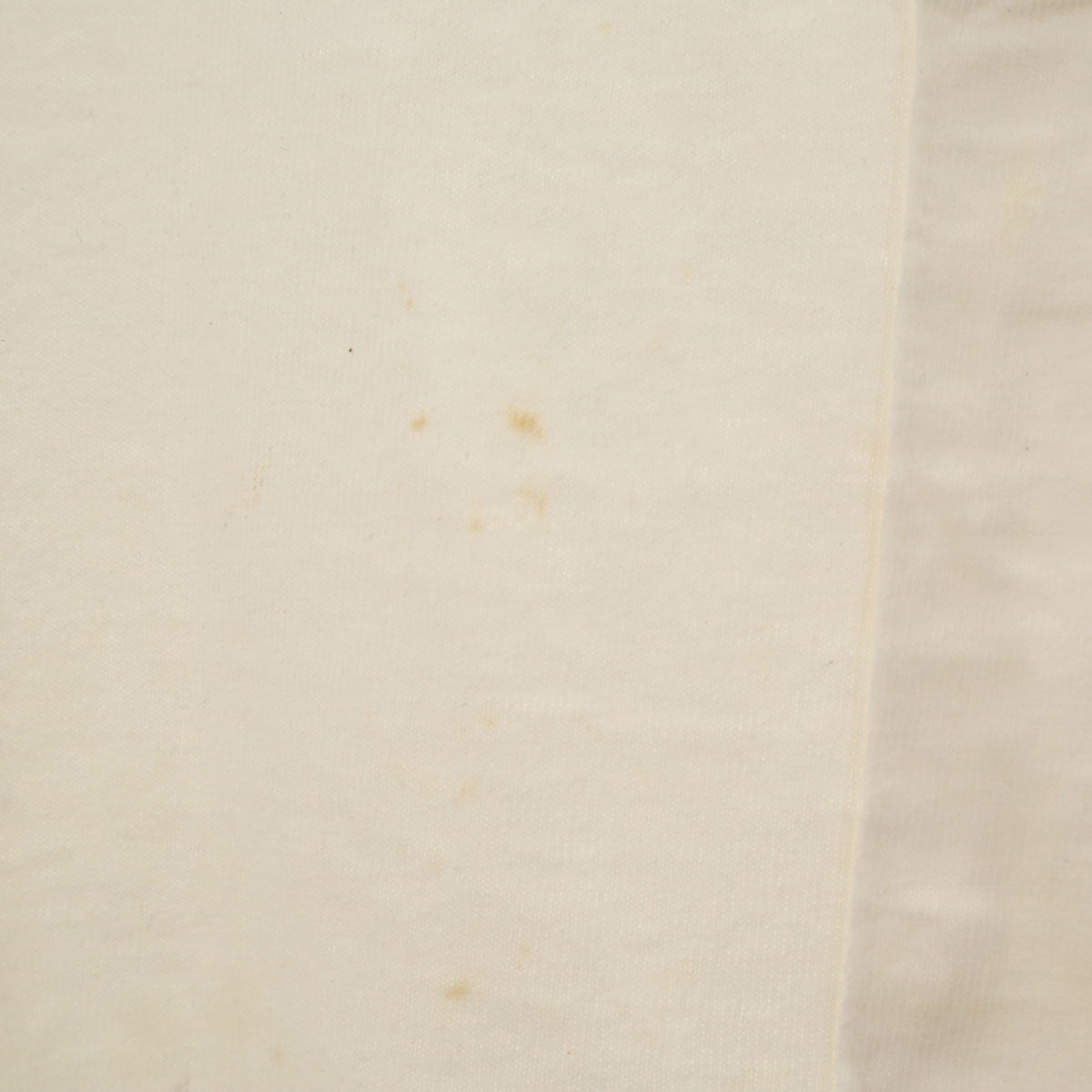 ALORE アローレ 90s USA製 オールド ミシガン  ドッグプリント 半袖 ロング Tシャツ OS ホワイト シングルステッチ 犬 レディース