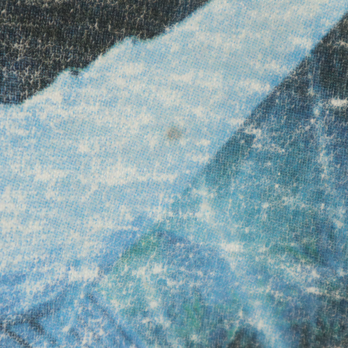 90s オールド クジラ プリント 半袖 Tシャツ ホワイト シングルステッチ メンズ