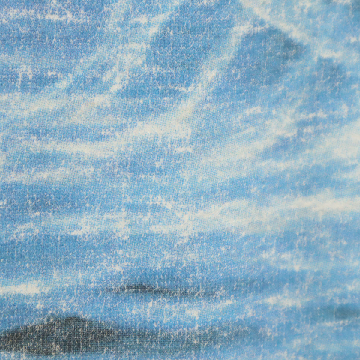 90s オールド クジラ プリント 半袖 Tシャツ ホワイト シングルステッチ メンズ