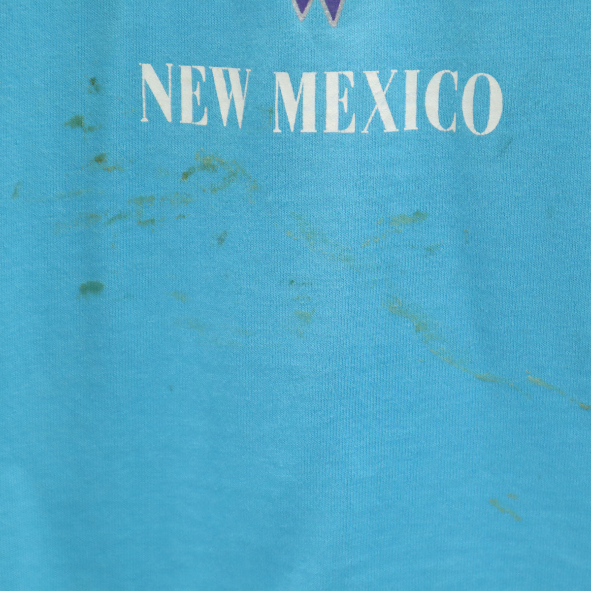 90s オールド NEW MEXICO 半袖 Tシャツ 水色 シングルステッチ メンズ