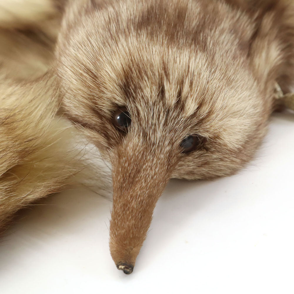 ティペット  ベージュ マフラー ストール 毛皮 レディース