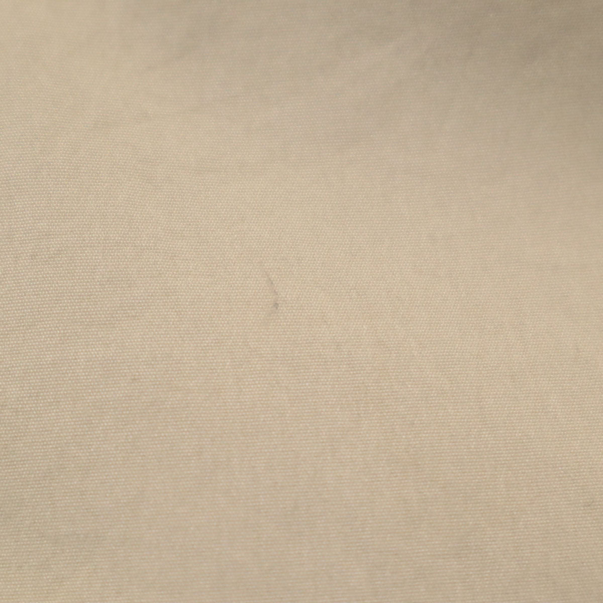 THE NORTH FACE ノースフェイス インサレーテッド パンツ M ベージュ NTW57159 アウトドア 中綿 レディース