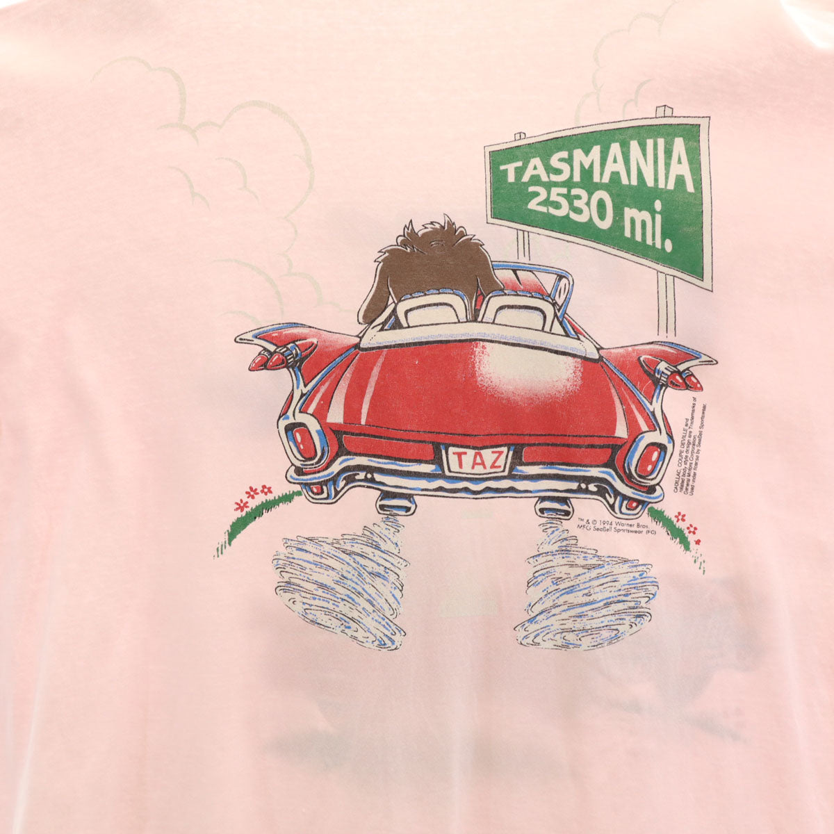 Warner Bros ワーナーブラザーズ 90s オールド ルーニーテューンズ タズマニアンデビル 半袖 ロング Tシャツ ピンク シングルステッチ ワーナー・ブラザース メンズ