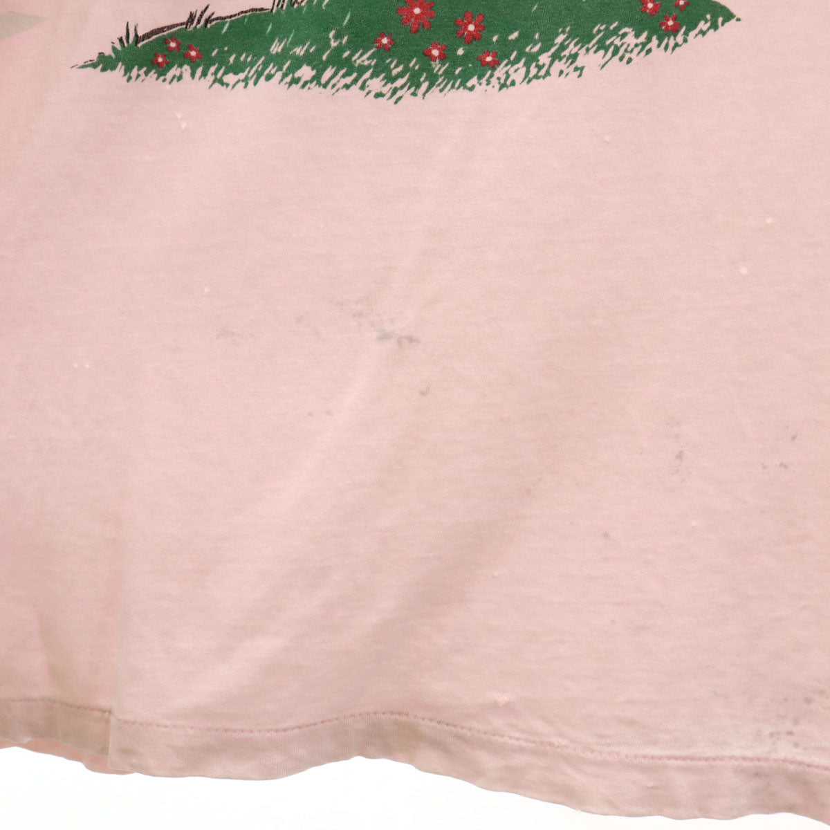 Warner Bros ワーナーブラザーズ 90s オールド ルーニーテューンズ タズマニアンデビル 半袖 ロング Tシャツ ピンク シングルステッチ ワーナー・ブラザース メンズ