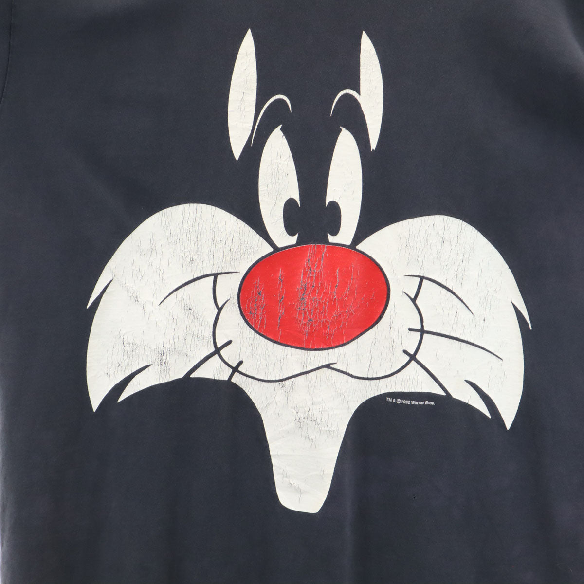 Warner Bros ワーナーブラザーズ 90s オールド ルーニー テューンズ シルベスター 半袖 ロング Tシャツ チャコールブラック シングルステッチ メンズ