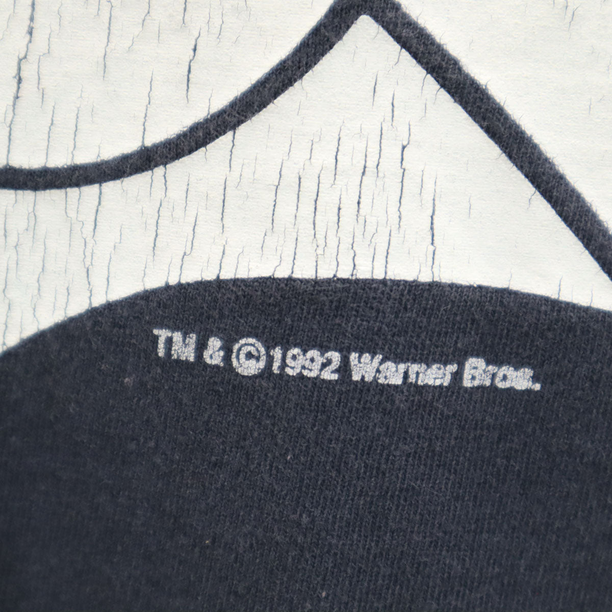 Warner Bros ワーナーブラザーズ 90s オールド ルーニー テューンズ シルベスター 半袖 ロング Tシャツ チャコールブラック シングルステッチ メンズ