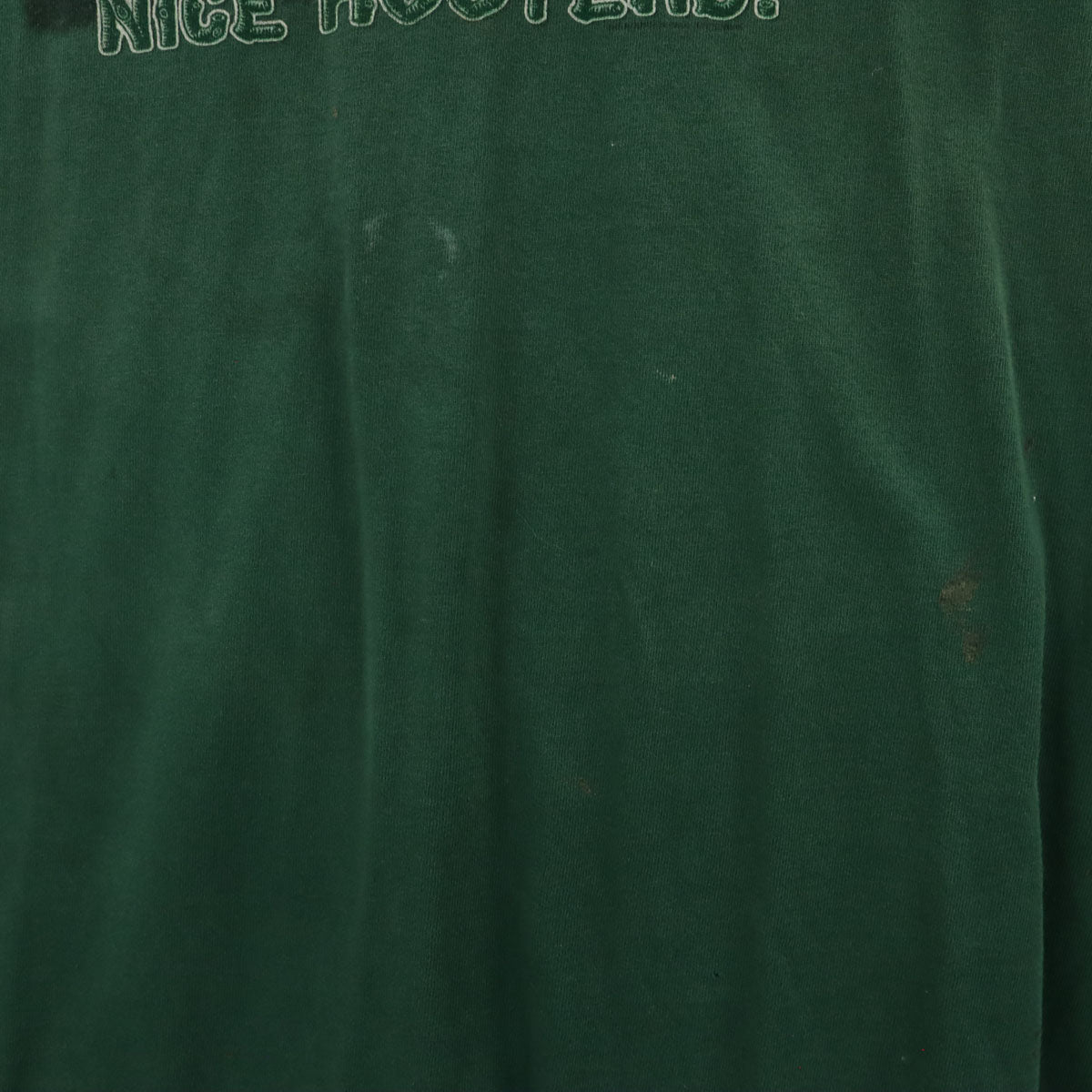 THE MOUNTAIN ザ マウンテン NICE HOOTERS プリント 半袖 Tシャツ XXXL グリーン アニマル ビッグサイズ メンズ