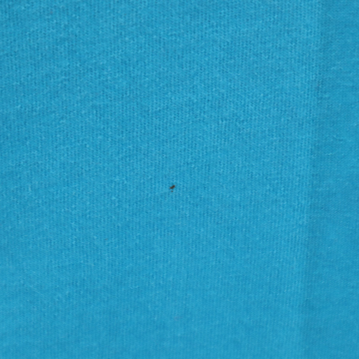 JERZEES ジャージーズ 90s USA製 オールド ラビット 半袖 ロングワンピース ONE SIZE 水色 うさぎ アニマル レディース