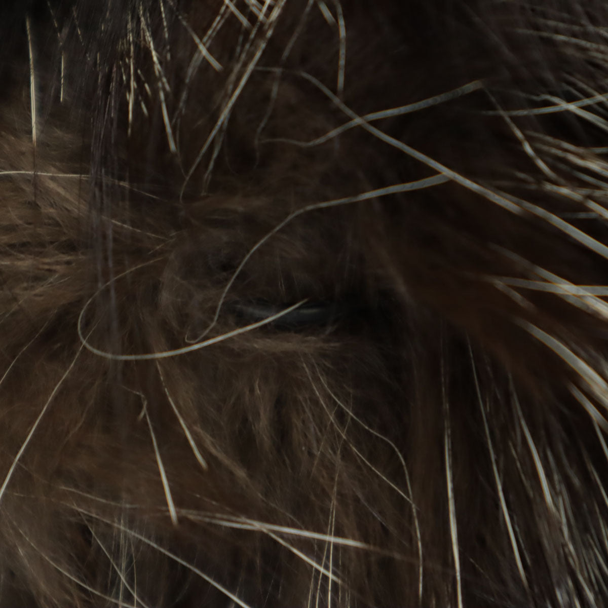 美品 SAGA FOX サガフォックス 毛皮コート F ブラウン レディース