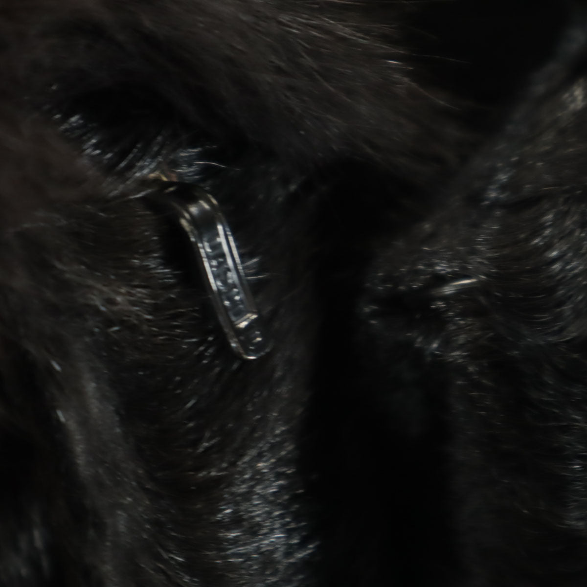 美品 毛皮コート 11 ブラック レディース