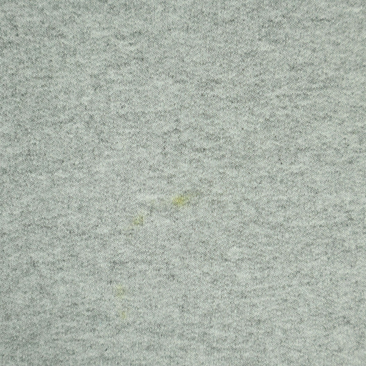 Champion チャンピオン 裏起毛 英字プリント 長袖 スウェットパーカー L グレー メンズ