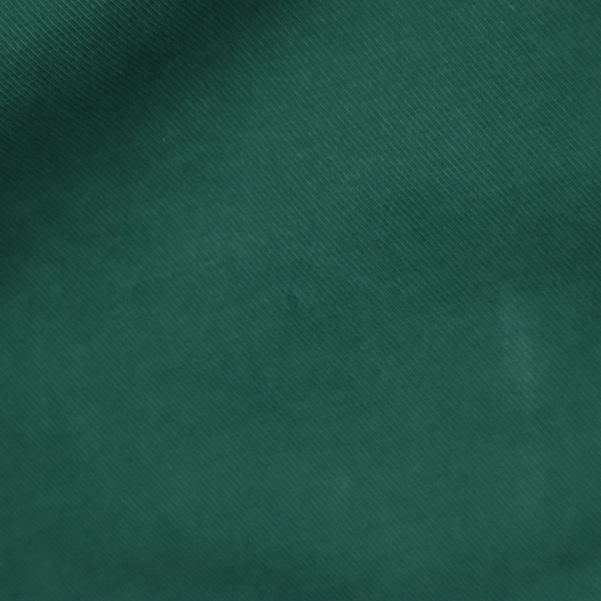 NATURAL LAUNDRY ナチュラルランドリー 日本製 カルゼビッグ チノパンツ 1 グリーン レディース