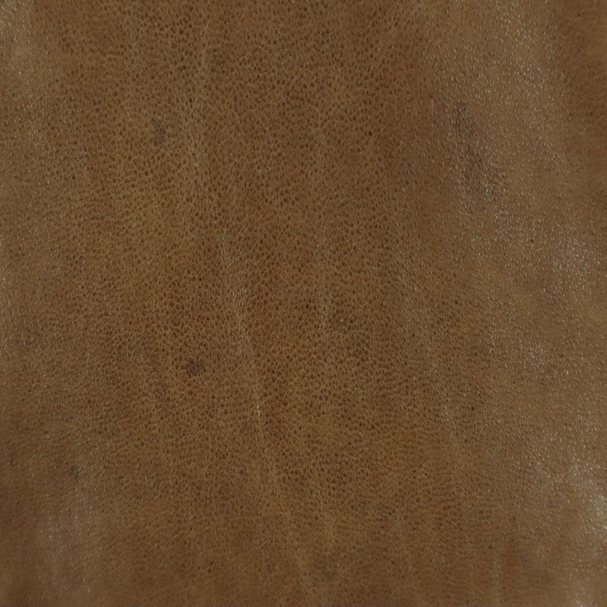 GRACE CONTINENTAL グレースコンチネンタル 長袖 フード付き レザーコート 36 ブラウン 羊革 レディース