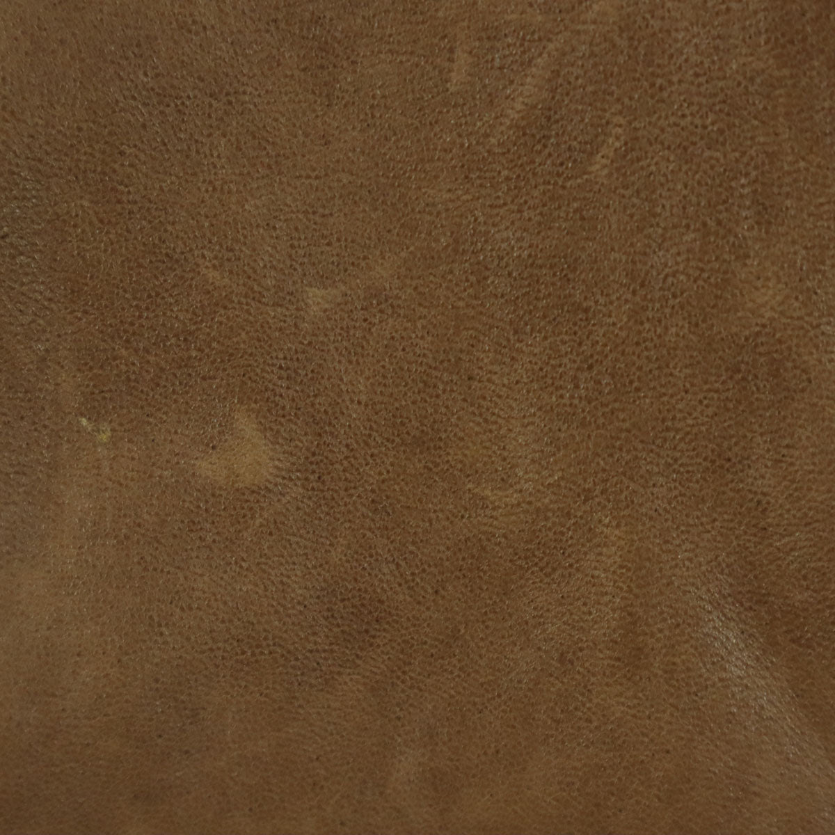 GRACE CONTINENTAL グレースコンチネンタル 長袖 フード付き レザーコート 36 ブラウン 羊革 レディース