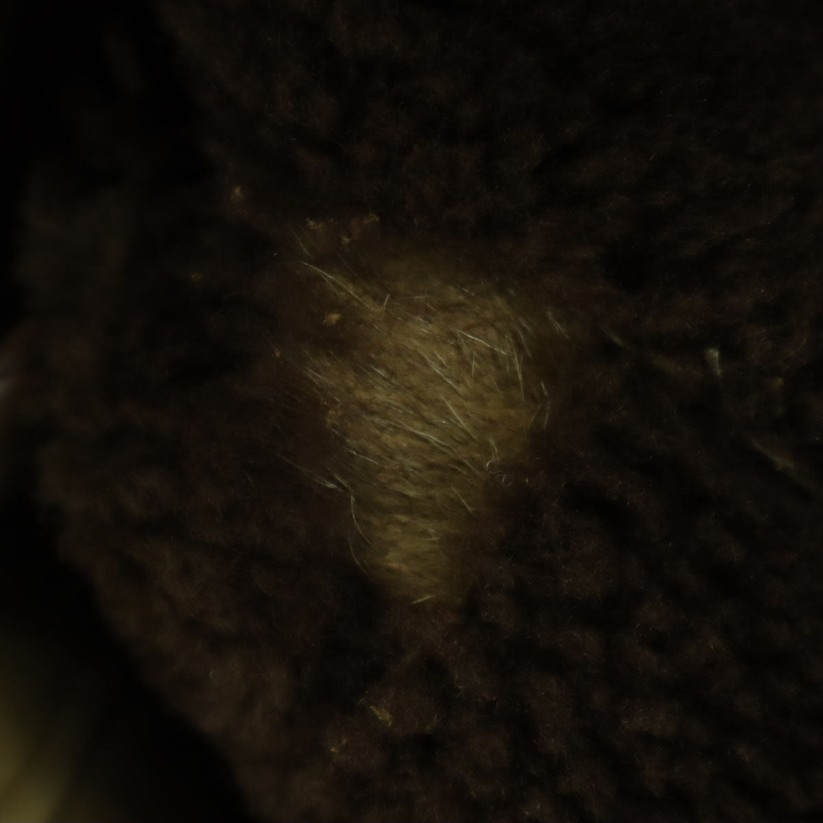 MAgLIA ROSSA 長袖 ムートンジャケット 9 ブラウン 羊革 メンズ