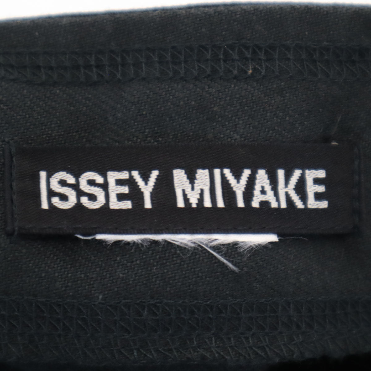 ISSEY MIYAKE イッセイミヤケ ロング丈 フレアスカート ブラック系 レディース