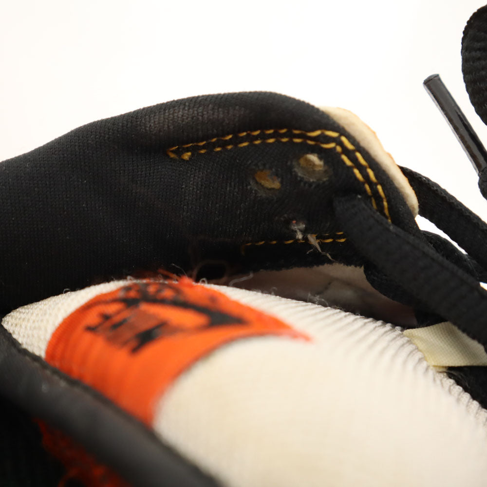 NIKE SB ナイキエスビー ダンク ロー プロ ロズウェル レイガンズ スニーカー 26 ホワイト 他 304292-802 箱付き メンズ