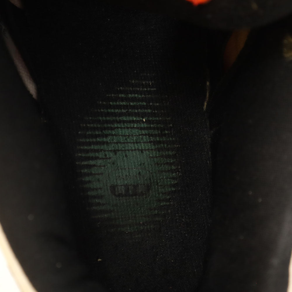 NIKE SB ナイキエスビー ダンク ロー プロ ロズウェル レイガンズ スニーカー 26 ホワイト 他 304292-802 箱付き メンズ