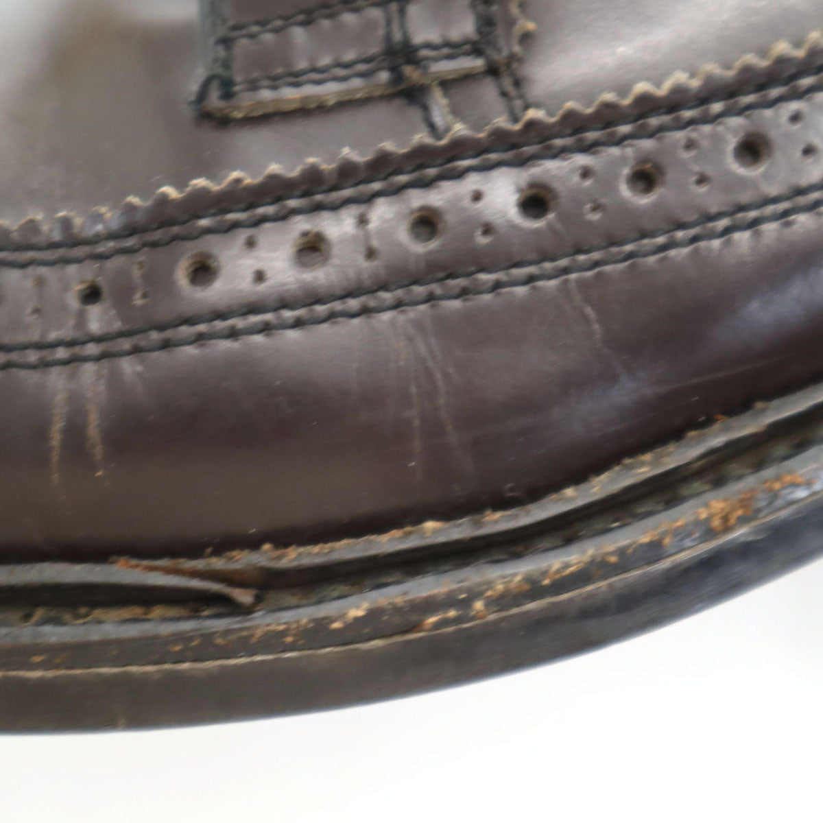 REGAL リーガル ウイングチップ ビジネスシューズ 251/2EE ブラウン メンズ